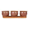 Set of 3 Brown Round Ceramic Small Planters - Ideal for Indoor Plants