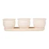 Set of 3 Small Cream Round Ceramic Planters for Indoor Plants