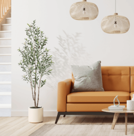 Simple Style Olive Tree (Option: 210cm)