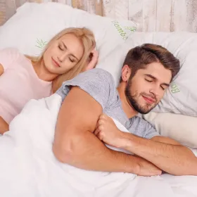 Bamboo Memory Foam Pillow Hypoallergenic Bed Pillow With Washable Cover [King Size] (Color: White)